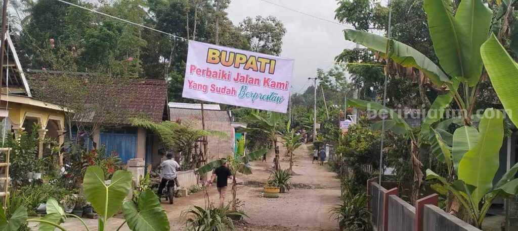 Jalan Desa Semen Kecamatan Gandusari Kabupaten Blitar ditanami pohon pisang oleh masyarakat desa, Kamis (06/07/23).