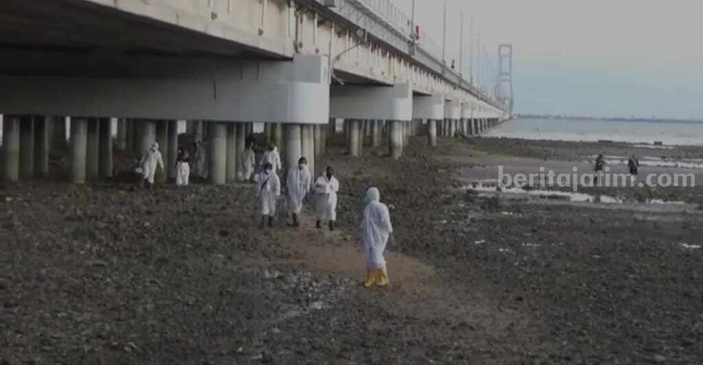 Petugas kesehatan hewan memeriksa bangkai ikan di kaki jembatan Suramadu (Foto: Zamachsari/beritajatim.com)