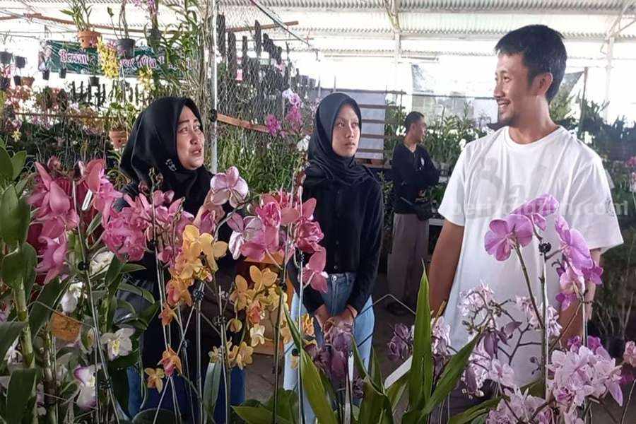 Pasuruan Orchid Festival