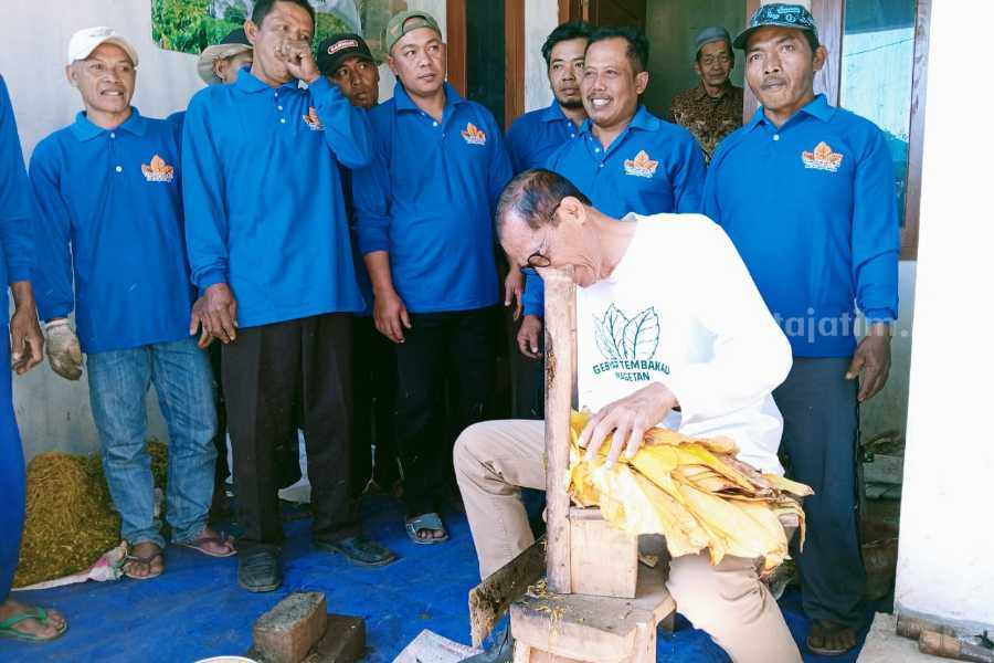 Bupati Magetan Suprawoto beserta jajaran saat mencoba merajang tembakau dengan petani tembakau di Desa Sidomulyo Kecamatan Sidorejo Kabupaten Magetan, Jumat (21/7/2023)