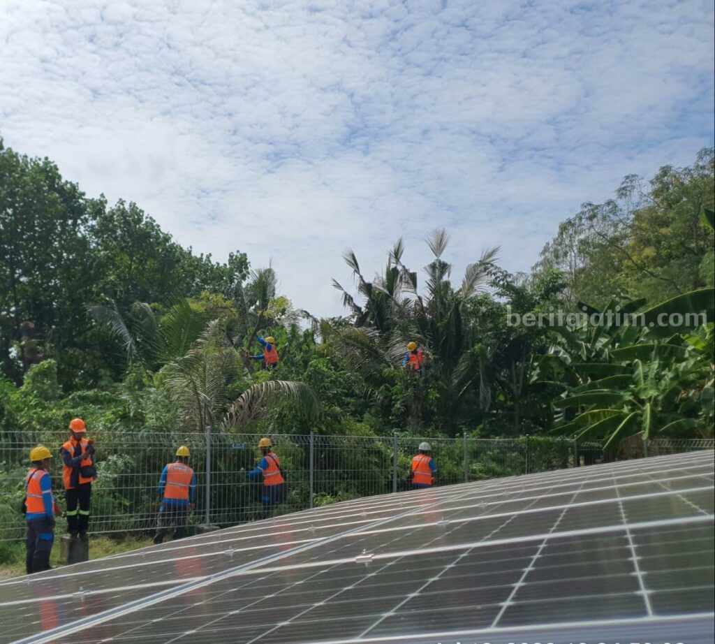 PLN Tekan Gangguan Jaringan Listrik di Pulau Bawean Karyawan PLN ULP Bawean sedang membersihkan ranting pohon di dekat pusat listrik tenaga Surya (PLTS)