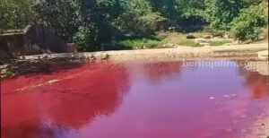 Aliran Sungai di Pamekasan Berubah Merah
