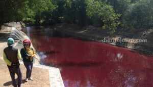 Sungai Merah di Pamekasan Disinyalir Akibat Pencemaran