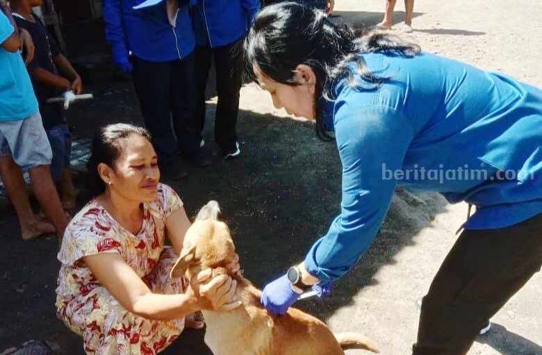 Banyuwangi Sedia 1.500 Dosis Vaksin Anjing – Kucing