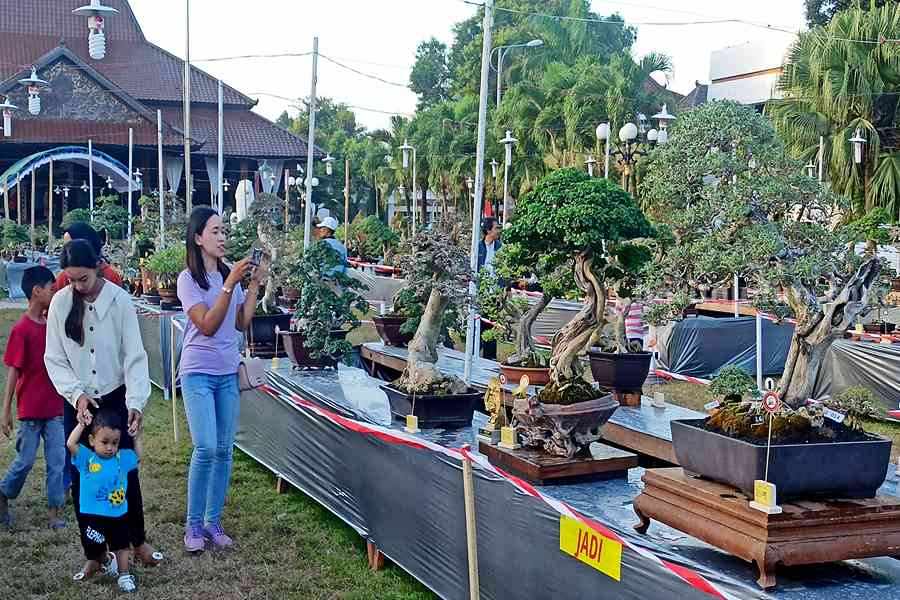 Pameran Bonsai di Grebeg Suro Ponorogo, Peserta dari Bali Sampai Kalbar Setiap hari pengunjung pameran bonsai bisa tembus lebih dari 1.000 orang. (Foto/Endra Dwiono/Beritajatim.com)