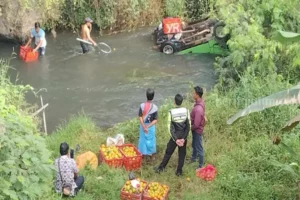 Pikap Terjun ke Jurang