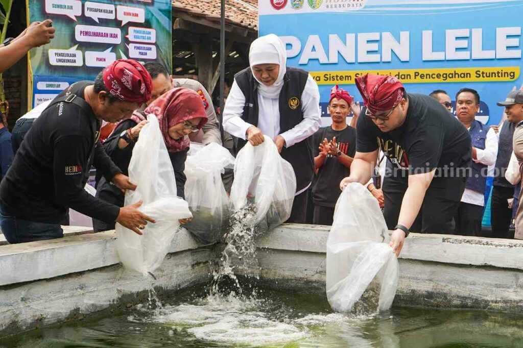 Sepak Terjang Mas Dhito-Mbak Dewi Tingkatkan Perekonomian Mas Dhito