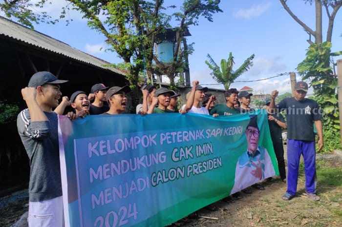 Alasan Peternak Sapi Kediri Dukung Gus Muhaimin Capres 2024 Peternak sapi Kediri