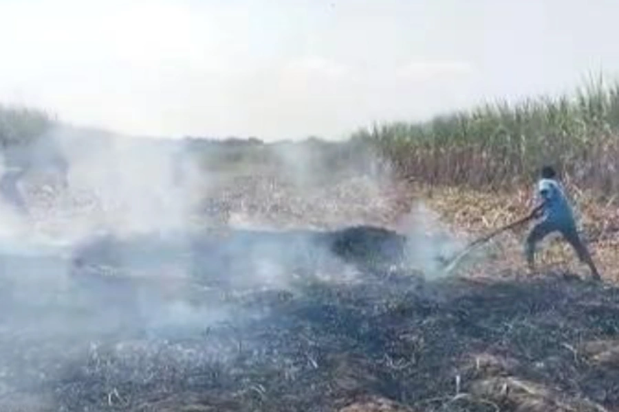 Kebakaran Hutan