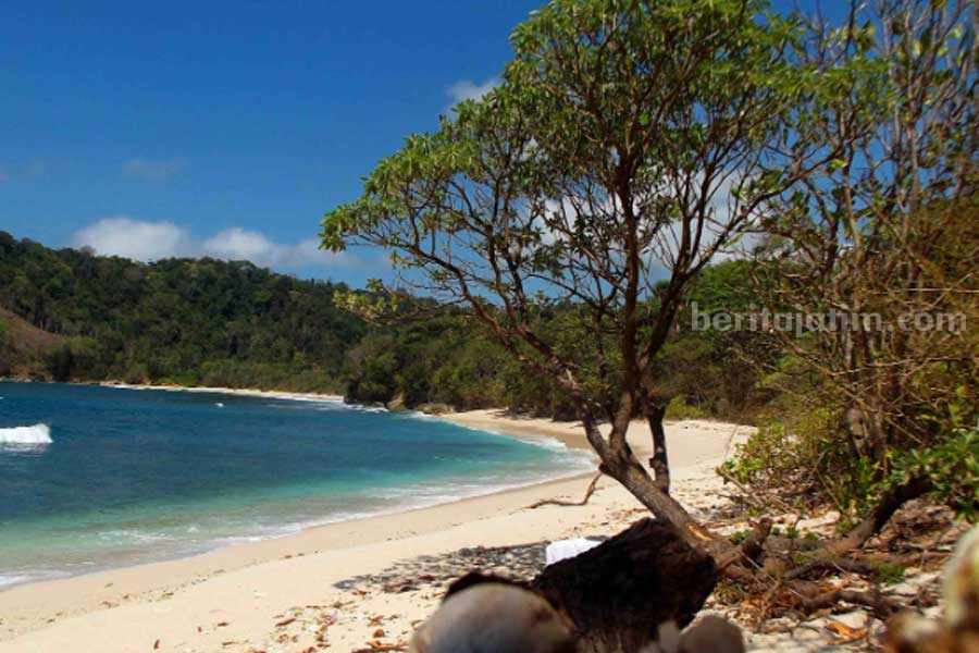 Panorama Pantai Ngalur Tulungagung.