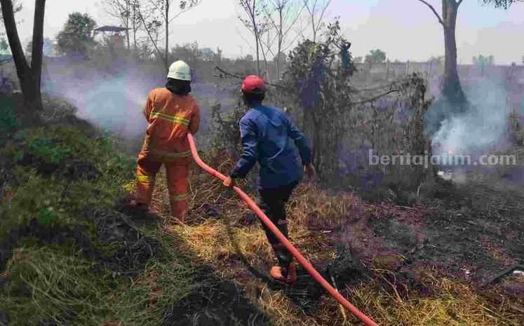 Petugas damkar saat memadamkan lahan di belakang SMKN 1 Mojoanyar, Kecamatan Mojoanyar, Kabupaten Mojokerto. [Foto