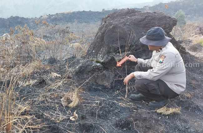Anggota Polres Malang melakukan olah TKP kebakaran hutan Gunung Arjuno, Kamis (31/8/2023).