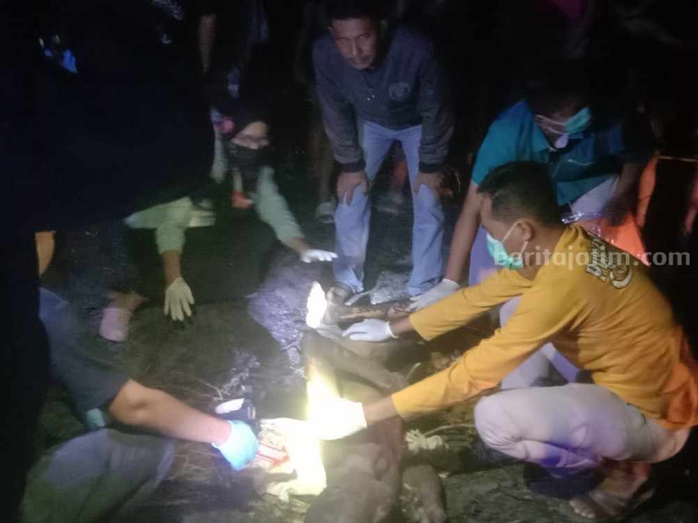 Evakuasi korban kebakaran lahan tebu.