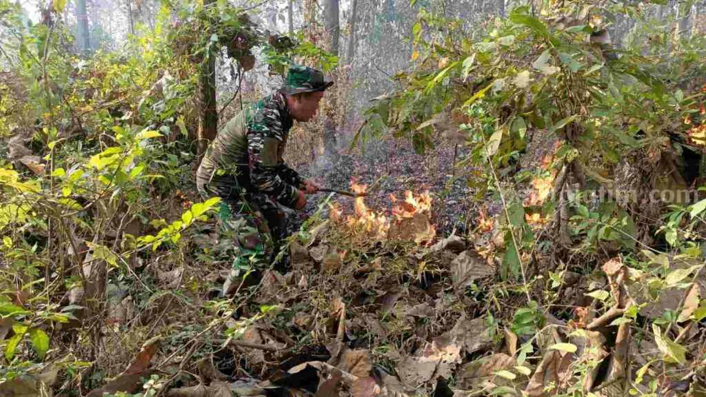 Petugas memadamkam api yang membakar Ilalang di Petak 3A/1 RPH Manting, KPH Pasuruan. [Foto : ist]