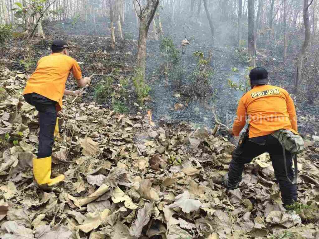Petugas melakukan pemadaman secara manual di petak 2B, Desa Sumberjati, Kecamatan Jatirejo, Kabupaten Mojokerto. [Foto : ist]