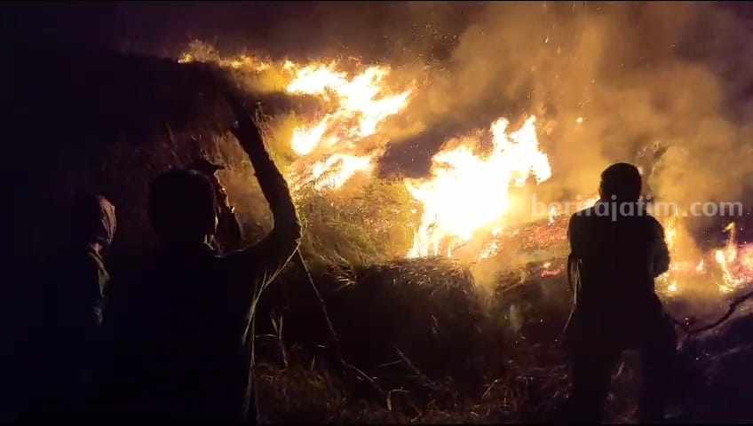 Petugas gabungan Perhutani, LMDH dan potensi relawan saat berupaya memadamkan api yang membakar padang rumput di Gunung Bekel di Kecamatan Trawas, Kabupaten Mojokerto. [Foto : ist]