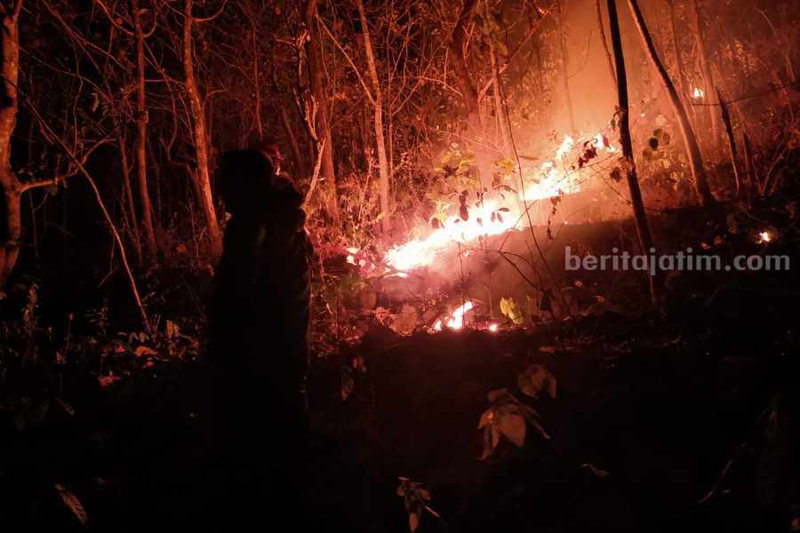 Hutan Gunung Bungkuk