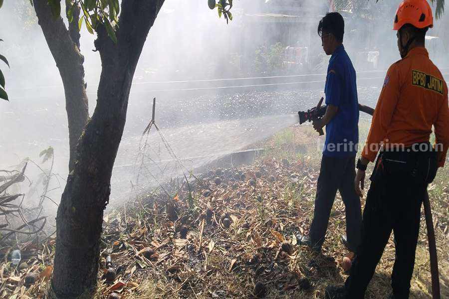 Petugas Damkar saat melakukan pemadaman lahan kosong yang diduga akibat bakar sampah.