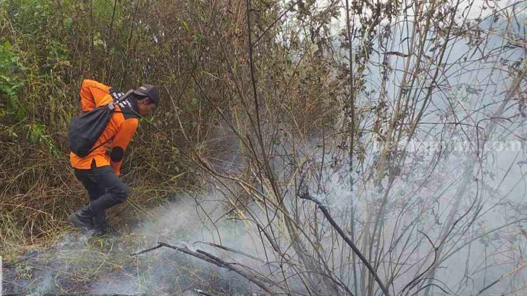 Petugas gabungan memadamkan api yang membakar di Blok Jati Sawit area Tahura R Soerjo. [Foto : ist]