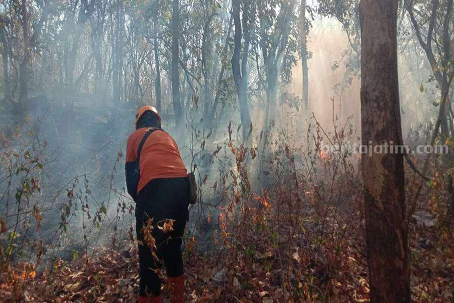Petugas saat melakukan pemadaman kebakaran.