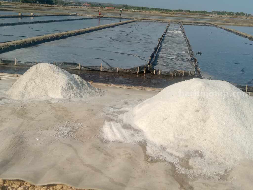 Lahan garam yang ada di wilayah Kabupaten Sampang (Foto: Zamachsari/beritajatim.com)