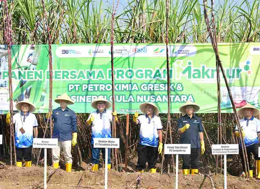 Dua BUMN Petrokimia Gresik dan SGN Berkolaborasi Petrokimia Gresik, anggota holding Pupuk Indonesia, dan PT Sinergi Gula Nusantara (SGN) berkolaborasi meningkatkan produktivitas tanaman tebu.