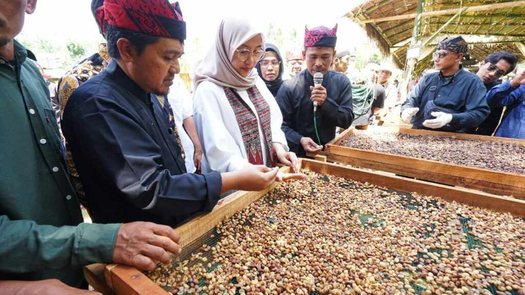 Banyuwangi Kejar Hak Paten Indikasi Geografis Kopi Robusta