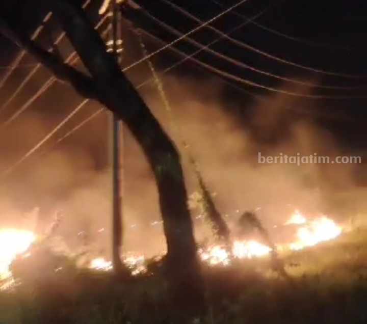 Lahan yang terbakar