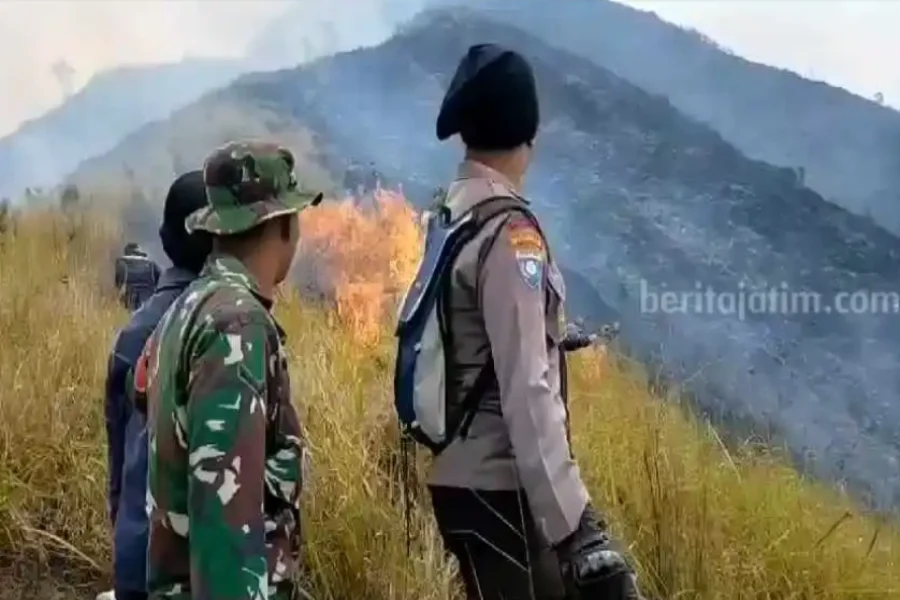 Hutan Lereng Gunung Arjuno di Singosari Malang Terbakar Kebakaran Hutan