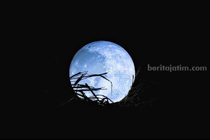 Bulan. (Sumber foto: Alexandra Vo/Unplash)