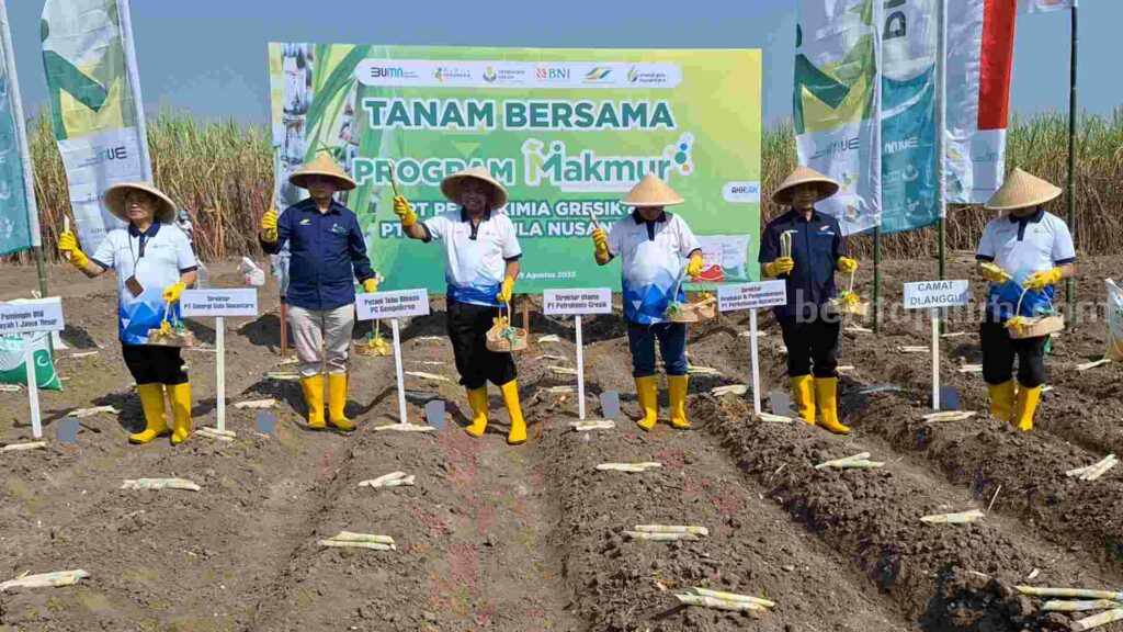 Panen Mojokerto