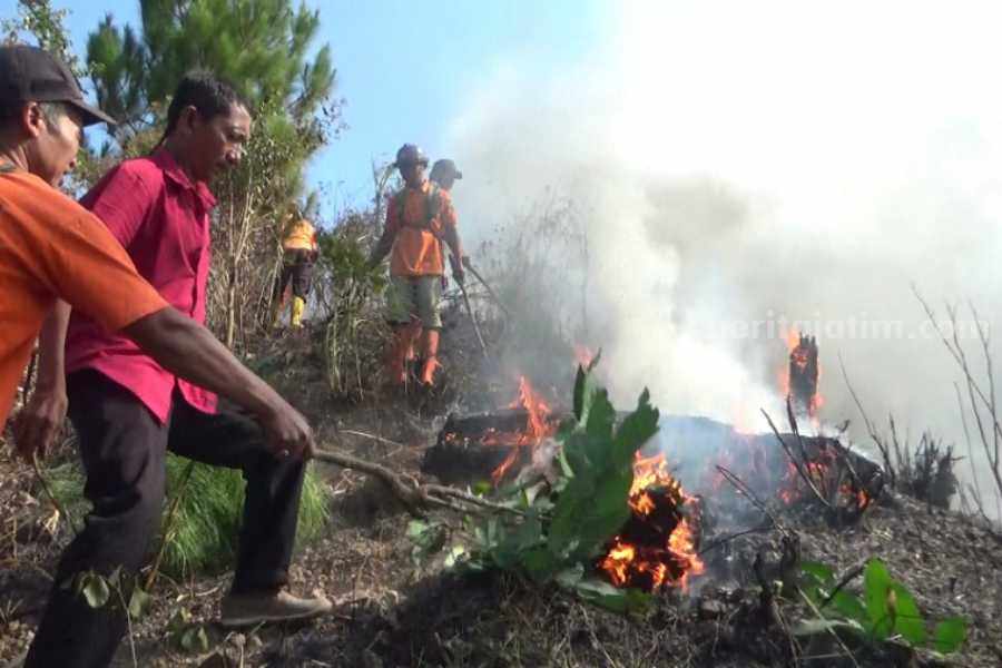 Petugas saat berjibaku memadamkan api yang membakar hutan pinus di di Gunung Warak masuk Desa Sumberejo Kecamatan Sine Kabupaten Ngawi, Jawa Timur terbakar pada Rabu (30/8/2023) pukul 13.00