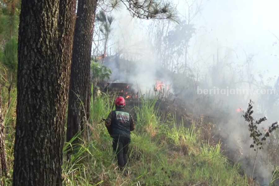 2 Hektar Hutan Pinus Terbakar di Gunung Warak Sine Ngawi Petugas saat berjibaku memadamkan api yang membakar hutan pinus di di Gunung Warak masuk Desa Sumberejo Kecamatan Sine Kabupaten Ngawi, Jawa Timur terbakar pada Rabu (30/8/2023) pukul 13.00.