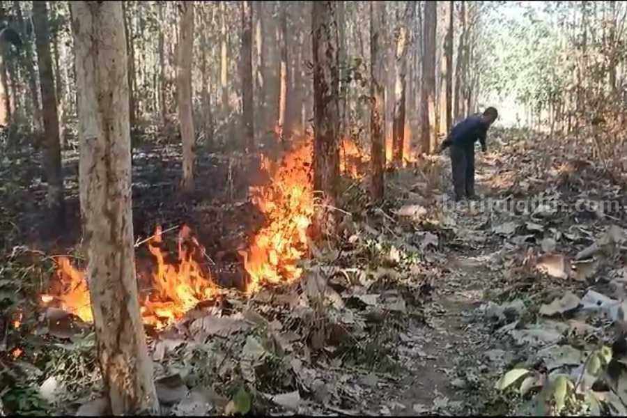 Hutan Jati Perhutani KPH Ngawi yang Terbakar di Ngawi Capai 41 Hektar Warga saat membuat ilaran agar api yang membakar daun kering di hutan jati Resor Pemangkuan Hutan (RPH) Alastuwo masuk desa Pandena Kecamatan Karanganyar Kabupaten Ngawi, Jawa Timur tidak meluas, Rabu (16/8/2023)