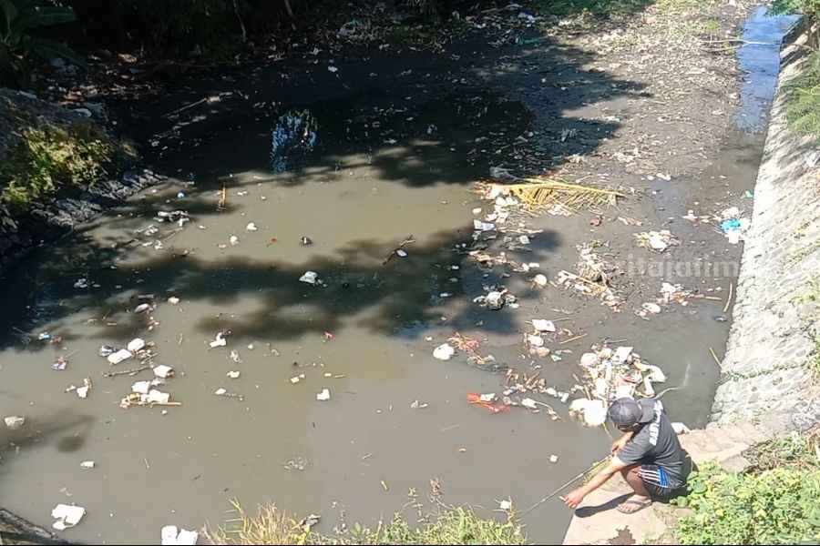 anakan sungai brantas