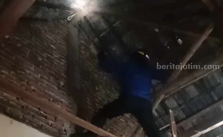 Petugas Damkar Mojoagung Jombang naik ke atap untuk menangkap ular