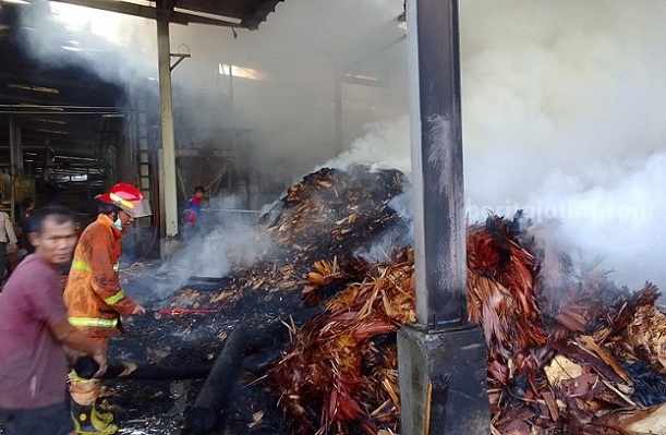 Kebakaran Landa Pabrik Kayu Lapis di Jombang Tim Damkar Jombang memadamkan api yang membakar serbuk kayu di PT. Nugraha Fancy Plywood, Jumat (11/8/2023)