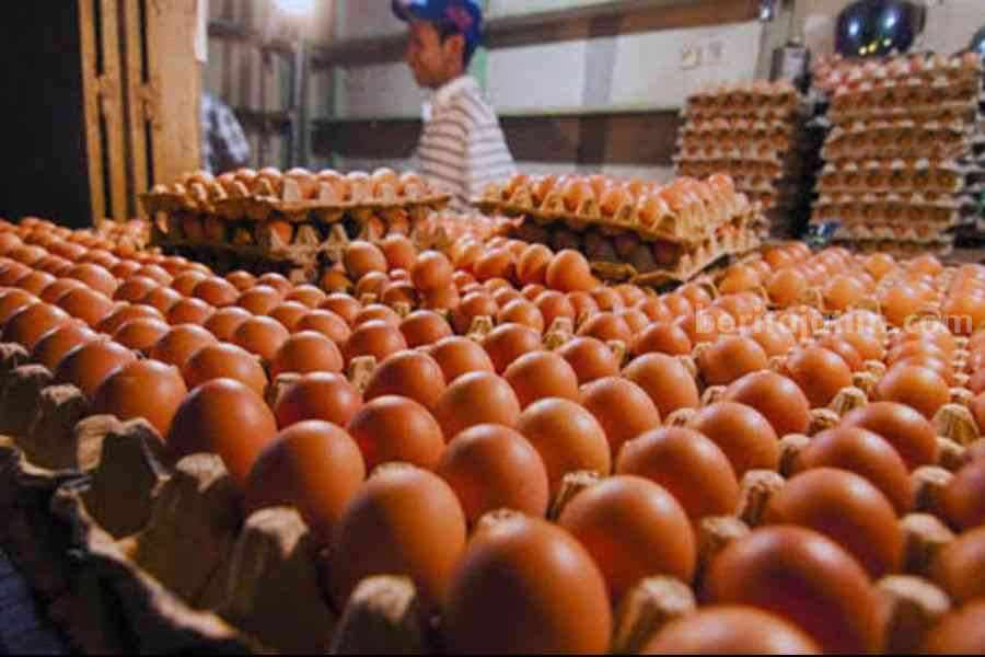 telur