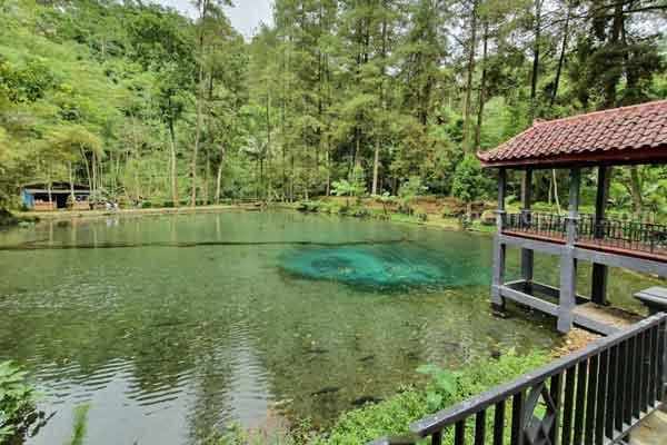 Telaga Rambut Monte di Desa Krisik Kecamatan Gandusari Kabupaten Blitar.