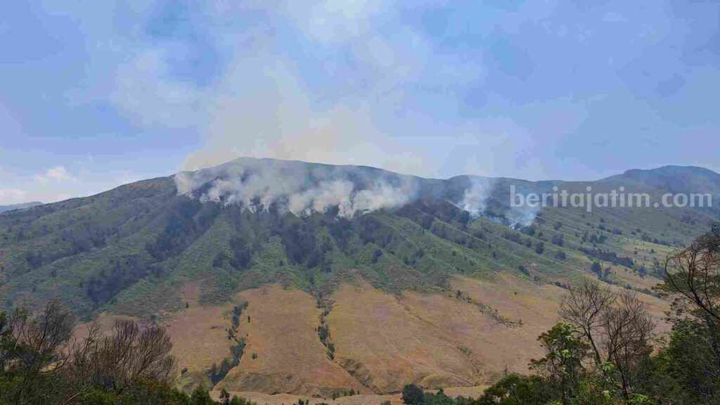 Kondisi kebakaran Gunung Bromo.