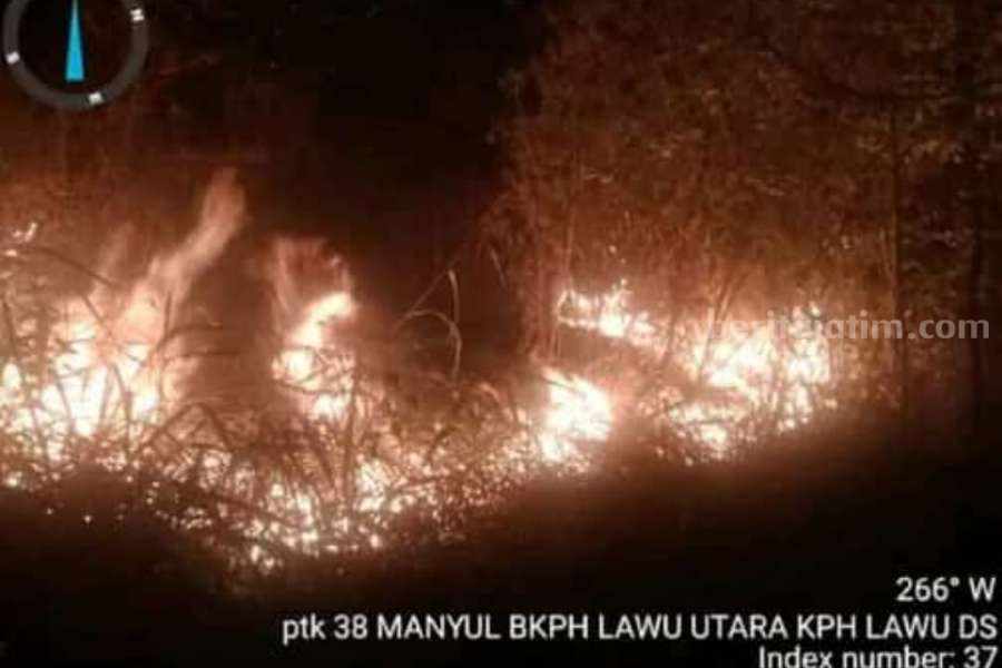 Hutan Gunung Lawu di Wilayah Jogorogo Ngawi Terbakar