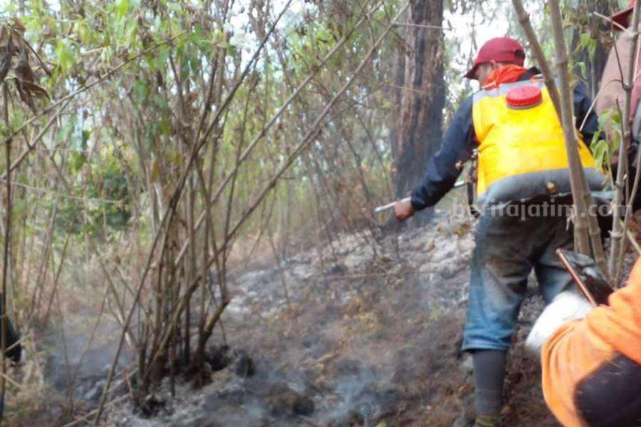 Petugas dan relawan saat melakukan pemadaman api.