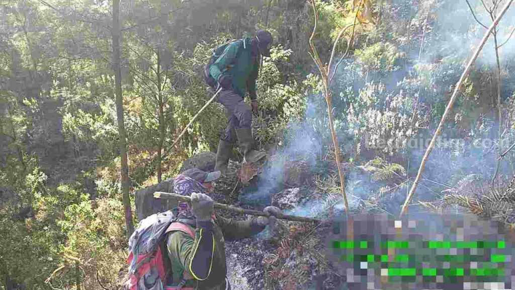 Kebakaran di Gunung Arjuno wilayah Kecamatan Pacet, Kabupaten Mojokerto. [Foto : ist]