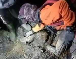 Relawan Gunung Arjuno Temukan Rusa Mati Terbakar Anak Rusa Gosong