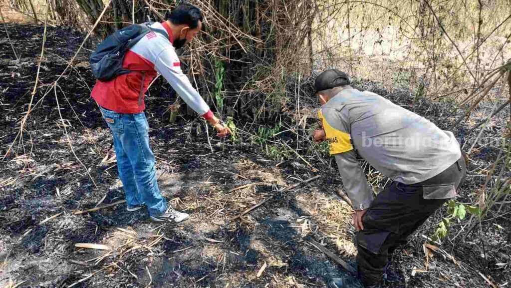 Petugas saat olah TKP di lahan bambu di Dusun Sumengko RT 002 RW 003, Desa Sumengko, Kecamatan Jatirejo, Kabupaten Mojokerto. [Foto : ist]