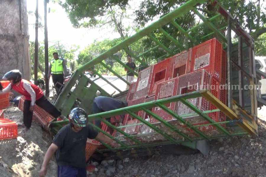 Petugas saat mengevakuasi truk ayam dan muatannya yang terhambur karena kecelakaan tunggal di Jalan Raya Magetan-Maospati masuk Desa Sugihwaras Kecamatan Maospati Kabupaten Magetan, Jawa Timur, Senin (25/9/2023) pagi
