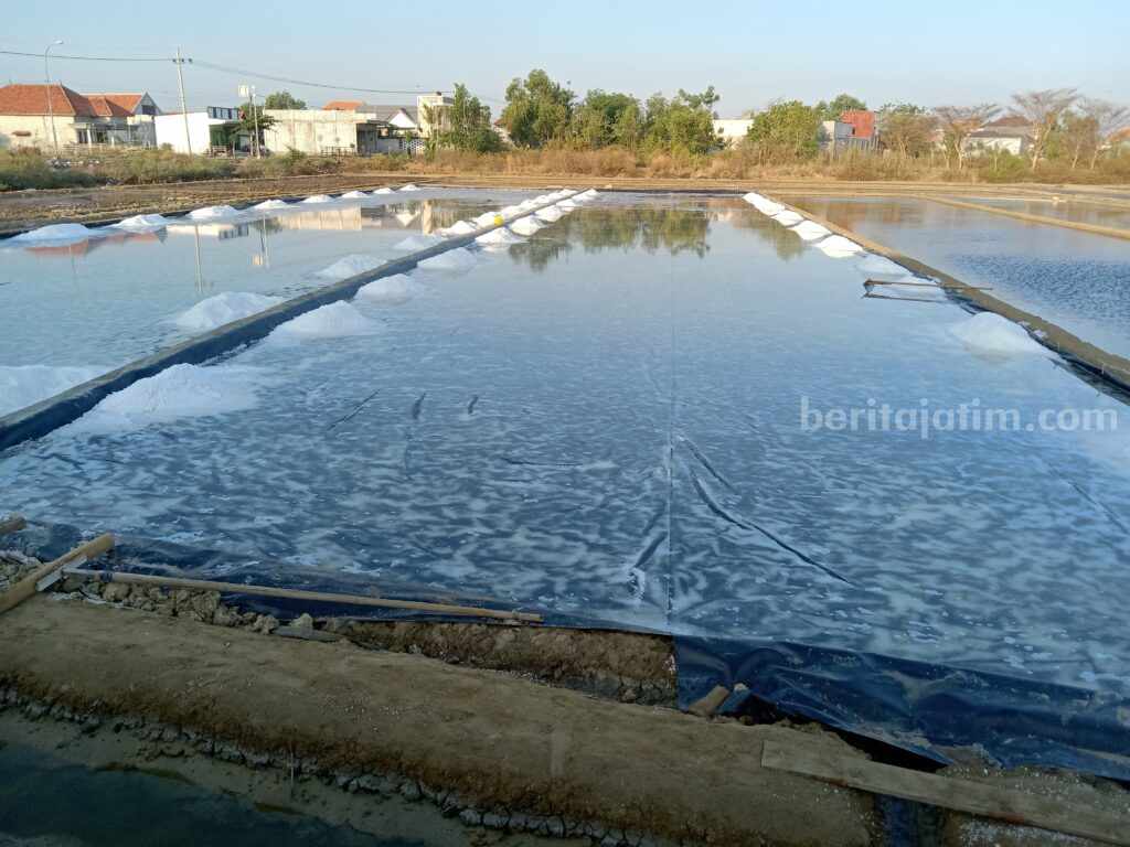 Harga Garam Rakyat di Sampang Merosot Tajam Lahan garam yang ada di Sampang (Foto: Zamachsari/beritajatim.com)