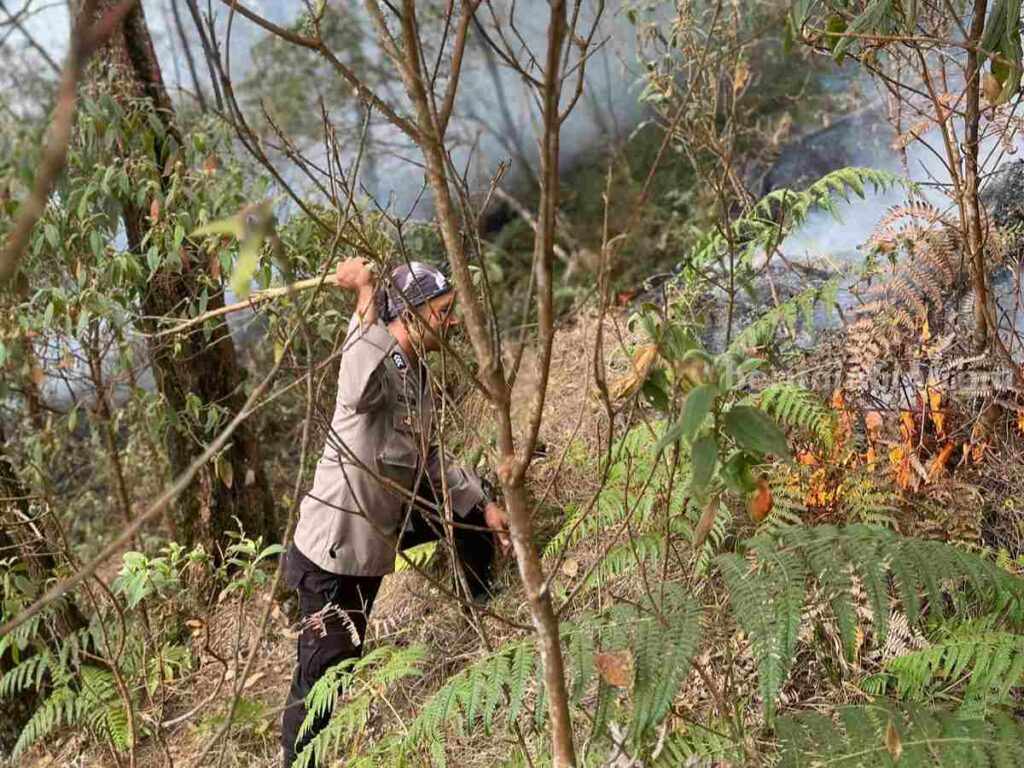 Petugas melakukan pemadaman api di Gunung Arjuno. [Foto : ist]