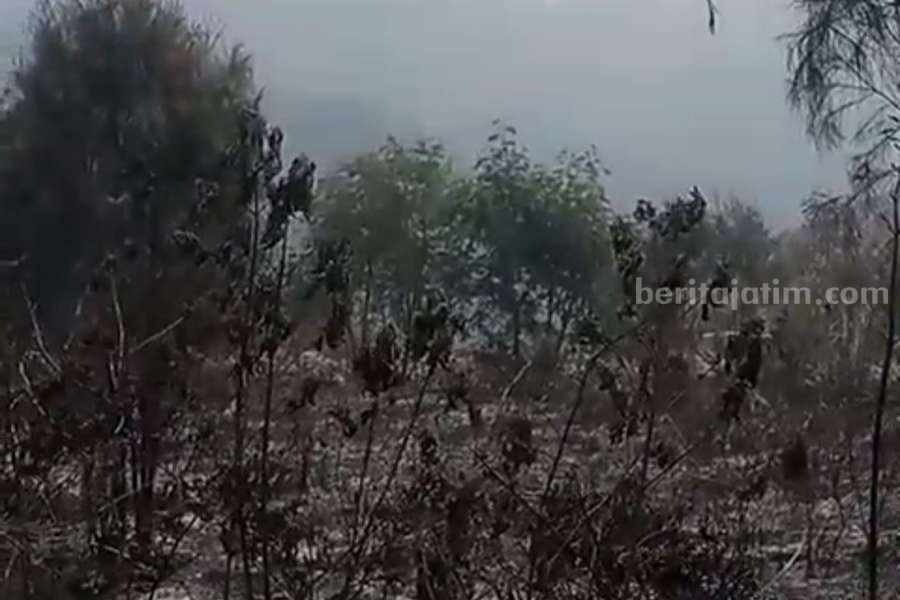 Kondisi kebakarannlahan di Gunung Bromo setelah berhasil dipadamkan.