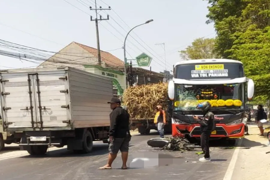Bus Harapan Jaya Seruduk Pemotor di Jombang Hingga Meninggal